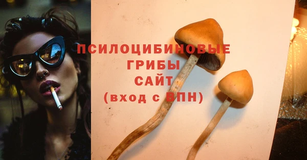 герыч Мегион