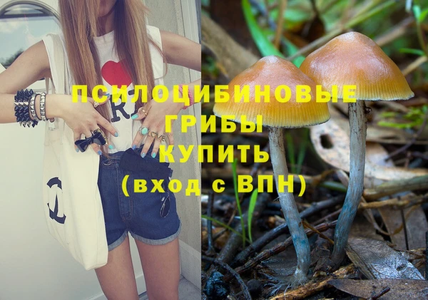 первитин Пестово