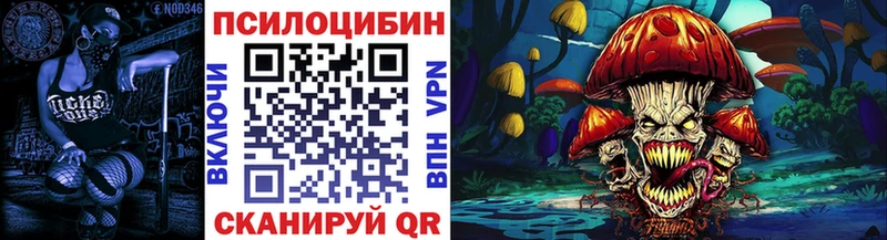 blacksprut вход  Бугуруслан  Псилоцибиновые грибы GOLDEN TEACHER 
