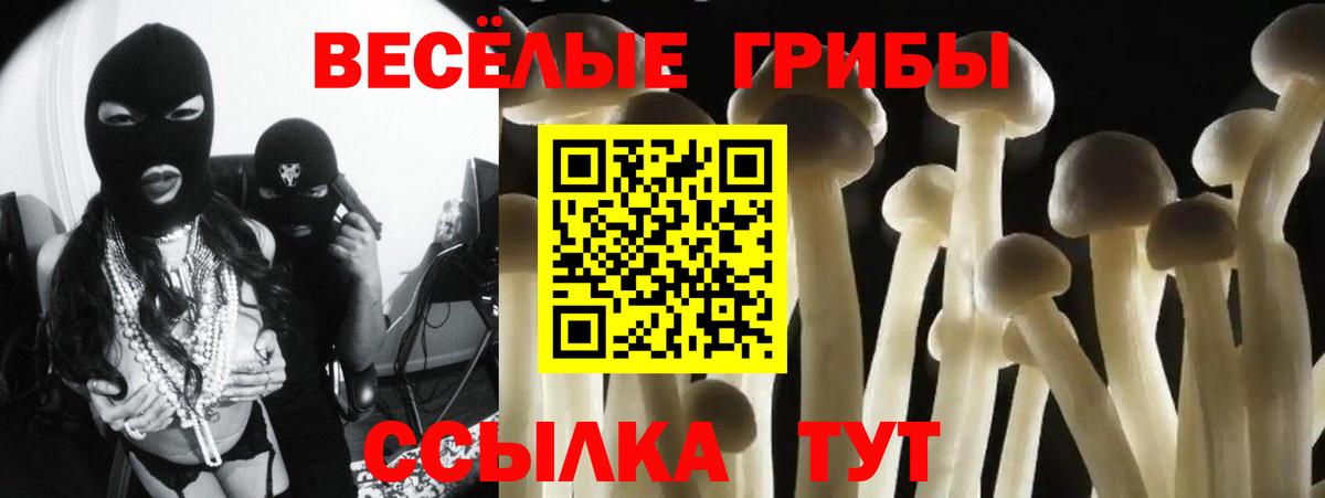 Псилоцибиновые грибы мицелий Бугуруслан